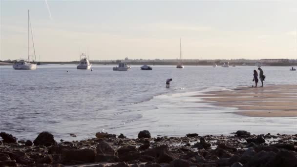 Persone che si godono il tramonto primaverile nella spiaggia di Quatro-Aguas East, riserva naturale di Ria Formosa, a Tavira. Algarve, Portogallo . — Video Stock