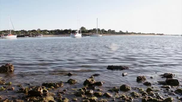 Boot reizen in achtergrond in Tavira Island, Quatro-Aguas East beach, Ria Formosa Natuurpark. Algarve, Portugal. — Stockvideo