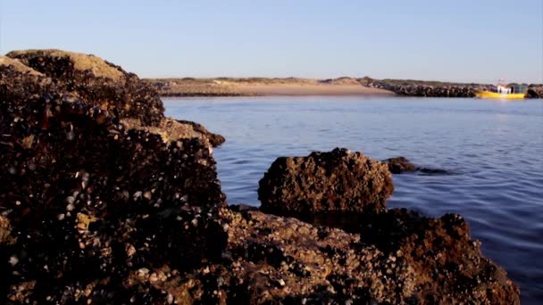 Båt reser i bakgrunden på Tavira Island, Quatro Aguas East beach, Ria Formosa naturreservat. Algarve, Portugal. — Stockvideo