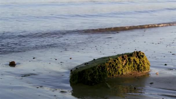 Хвилі фону на острові Тавіра, Quatro Агуас Східно-Біч, Ріа Формоза природного заповідника. Алгарве, Португалія. — стокове відео