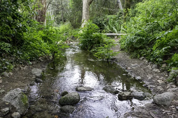 Monchique vesnice známé léčebné čistý čerstvý horský vody s — Stock fotografie