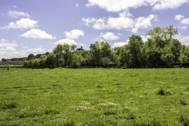 Alentejo bölgesi tipik alanları peyzaj, Portekiz.