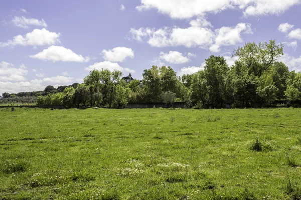 Região alentejana campos típicos paisagem, Portugal . — Fotografia de Stock