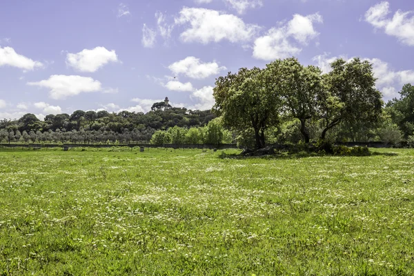 Região alentejana campos típicos paisagem, Portugal . — Fotografia de Stock