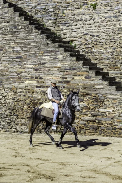 MONSARAZ - APRIL 06: Horse training in Alentejo Town of Monsaraz — Stock Photo, Image