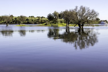 Alqueva Dam lake. It impounds the River Guadiana, on the border of Beja and Evora Districts in south of Portugal clipart