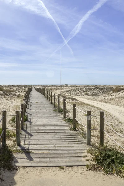 Ria Formosa wetlands natural conservation region landscape, View of Armona inland beach, one of the islands. Algarve, — Stock Photo, Image
