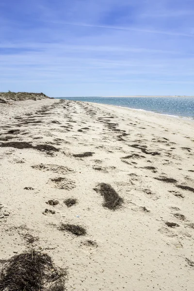 Ria Formosa podmokłych naturalnych ochrony regionu krajobraz, widok Armona śródlądowej plaży, jednej z wysp. Algarve, — Zdjęcie stockowe