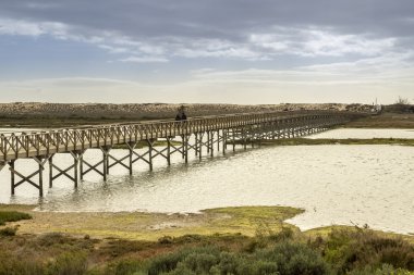 Dönüm noktası yaya köprüsü başlığa ünlü Quinta yapmak Lago Beach'te Ria Formosa sulak