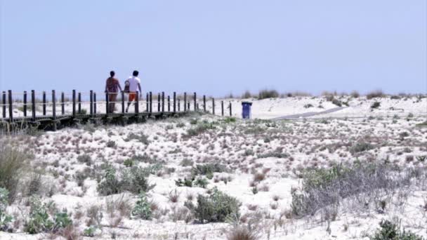 Turystów w chodnik acess do Armona koszt beach, jednej z wysp Ria Formosa mokradeł parku przyrody, Algarve. — Wideo stockowe