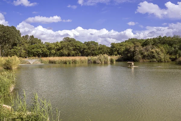 Miraflores veřejnost Green Park panoramatické, ležící v Seville — Stock fotografie