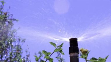 Otomatik sulama sistemi bubbler flowerbed sulama Bahçe,