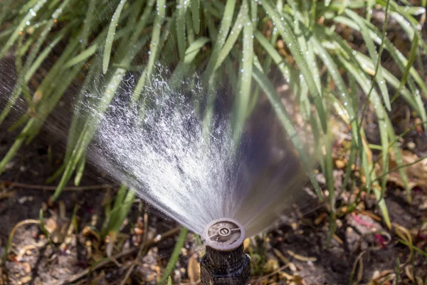 Garden automatic Irrigation system bubbler watering flowerbed. — Stock Photo, Image