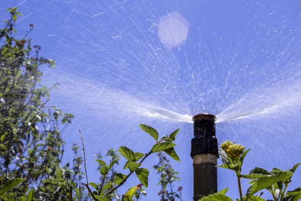 Garten automatische Bewässerungssystem Blase Bewässerung Blumenbeet. — Stockfoto