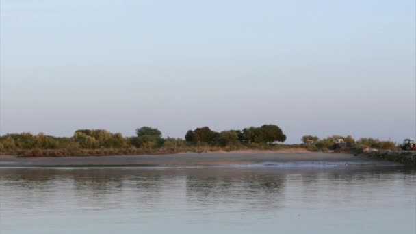 Barco viajando no fundo da ilha de Tavira, para o porto de Quatro-Águas, Reserva Natural da Ria Formosa. Algarve — Vídeo de Stock