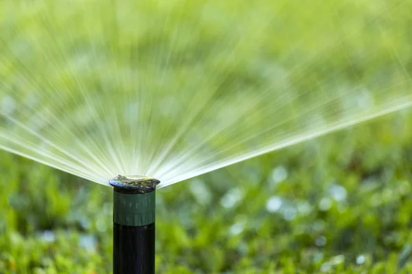 Bewässerungssystem für den Garten sprüht den Rasen. — Stockfoto