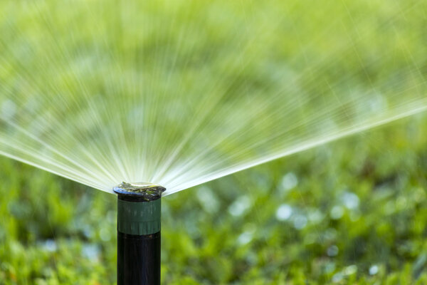 Garden Irrigation system spray watering lawn.