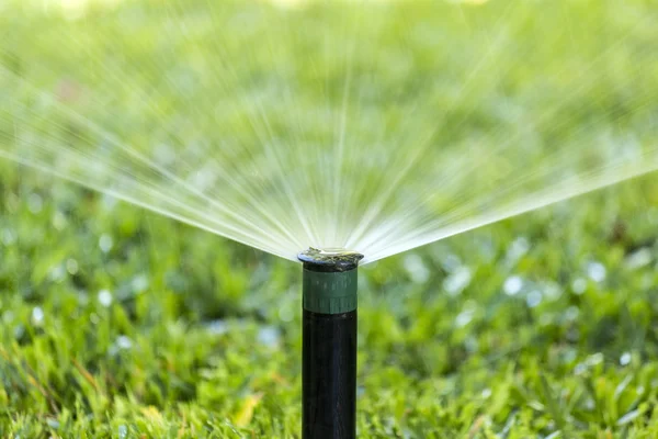 Garden Irrigation system spray watering lawn. Royalty Free Stock Images