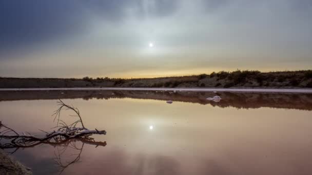 일몰 시간 경과 가로 보기 Ria Formosa 습지 자연 보호 지역의 오래 된 소금 습지 생산 Olhao, Algarve, 남부 포르투갈에 포그라운드에서 팬. — 비디오