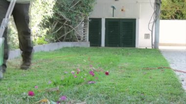 Ev bahçe aktivite - elektrikli çim biçme, çim ayrıntı kesme arka bahçe.