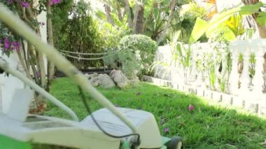 Ev bahçe aktivite - elektrikli çim biçme, çim ayrıntı kesme arka bahçe.