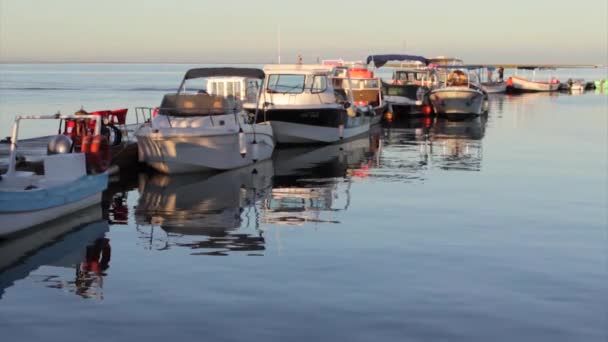 Ria Formosa 湿地自然公園、アルガルヴェでオリャン レクリエーション港桟橋船ビュー — ストック動画