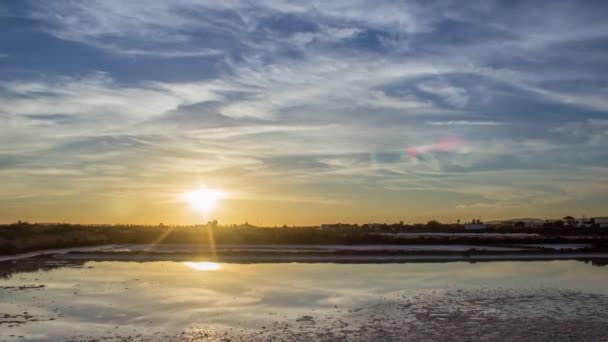 日没時間の経過の Ria Formosa 湿地帯自然環境保全地域の景観、非アクティブな塩性湿地生産パン オリャン、アルガルヴェ、ポルトガル南部で、フォア グラウンドで. — ストック動画