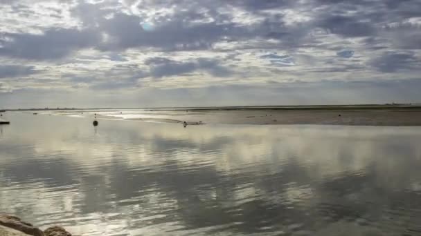 Ria Formosa 湿地自然保護公園、曇りの朝、ポルトガルにタイムラプス アルガルヴェ オリャン ウォーター フロントのパノラマ ビュー. — ストック動画