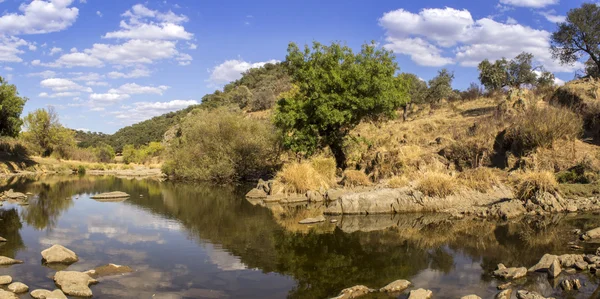 Platteland landschap schilderachtig uitzicht van een vers water stroom op een n — Stockfoto