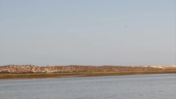 Paysage de la région naturelle de conservation de Ria Formosa et avion approchant la piste de l'aéroport de Faro, dans la région de destination de l'algarve . — Video