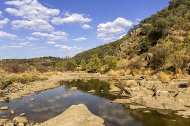 Kırsal manzara doğal görünümü bir tatlı su akışının bir n