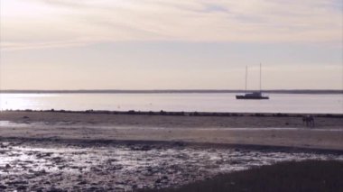 Ria Formosa sulak doğa parkı, şafak düşük tide deniz manzarası ve oynayan, köpek Cavacos kumsalda vurmuş. Algarve.