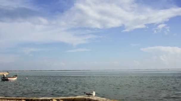 Olhao overdag 180 Pan tijd vervallen visserij haven Jetty ingang en meeuwen, de stad is de hoofdstad van Ria Formosa Natuurpark wetlands, Algarve. — Stockvideo
