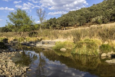 Kırsal manzara doğal görünümü bir tatlı su akışının Alentejo turizm hedef bölgede bir doğal park izinde