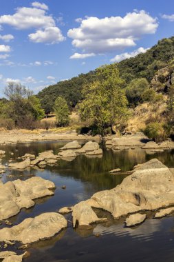 Kırsal manzara doğal görünümü bir tatlı su akışının Alentejo turizm hedef bölgede bir doğal park izinde