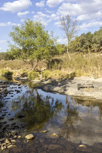 Vidéki táj festői kilátást édesvíz patak egy természeti park nyomvonal, az Alentejo turizmus rendeltetési — Stock Fotó