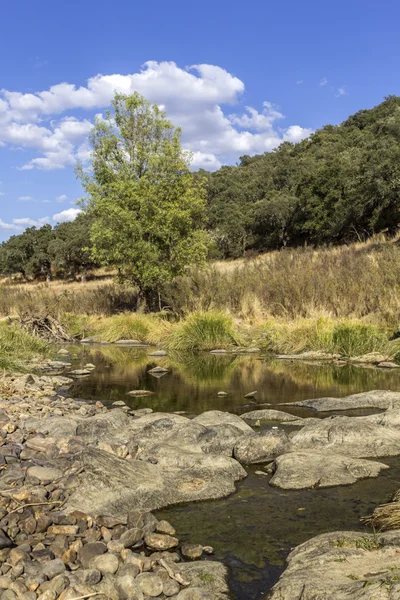 Krajiny krajiny rozhledny proud sladké vody na stopě přírodního parku, v cílové oblasti Alentejo cestovního ruchu — Stock fotografie