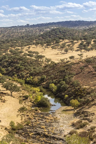 Countryside landscape scenic view of a fresh water stream on a natural park trail, in the Alentejo tourism destination region — Stock Photo, Image