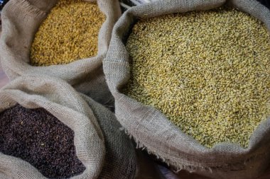 Malt, biranın demlendiği malzemelerden biridir.