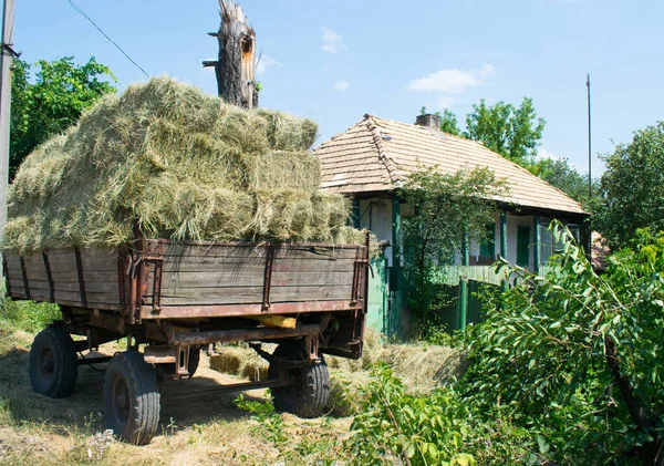 Life Ukrainian Village Old Hut — Stock Photo, Image