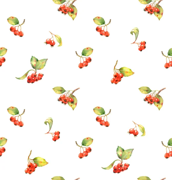 赤い果実のシームレスなパターン — Stock fotografie