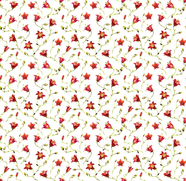 Small red wild watercolor flowers seamless pattern — Stock Photo, Image