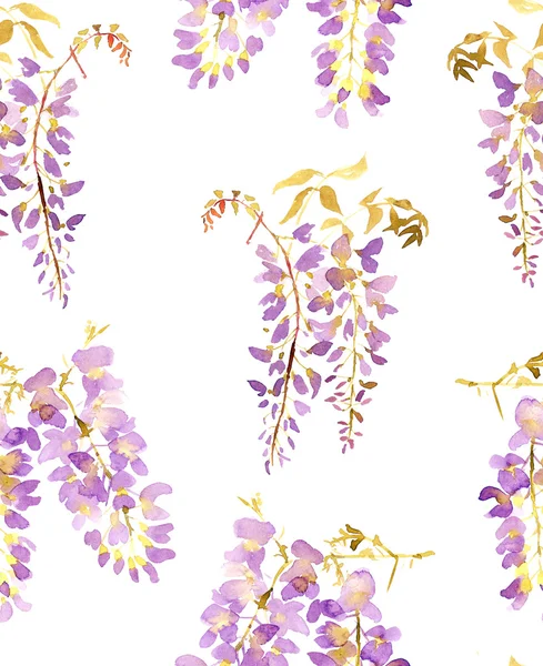 Akvarel wistárie květinový vzor bezešvé — Stock fotografie