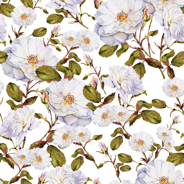 흰색 장미 부시 식물 수채화 원활한 패턴 — 스톡 사진