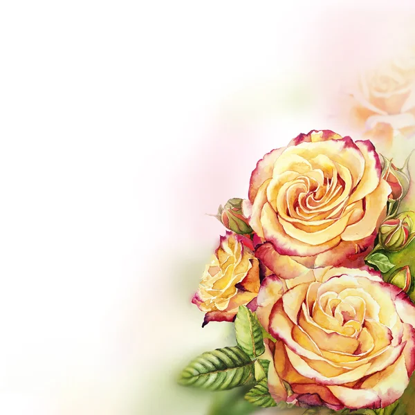 Yellow - pink roses watercolor background — Stock Photo, Image