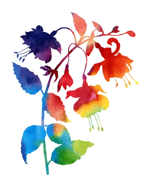 Abstracte bloem aquarel fuchsia — Stockfoto