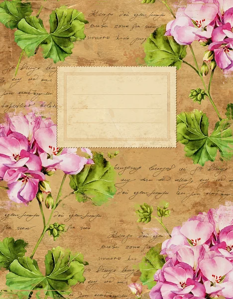 Capa de notebook floral de gerânio vintage — Fotografia de Stock