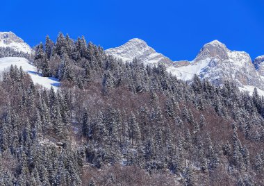 Baharın başlangıcı Alp peyzaj