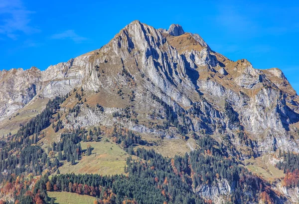 Mt. Scheideggstock podzim — Stock fotografie