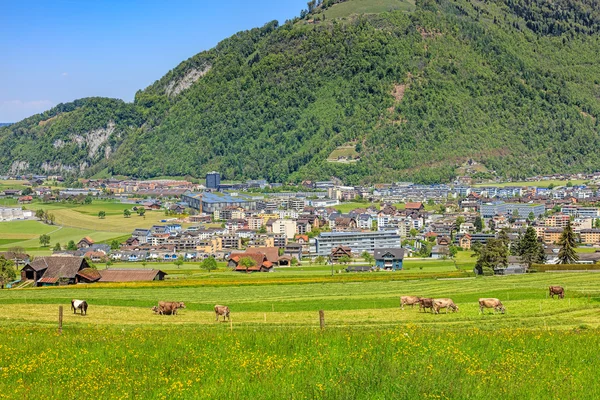 Paisagem em Stans, Suíça — Fotografia de Stock